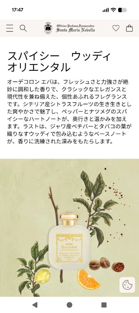 サンタ・マリア・ノヴェッラ　エバ　香水