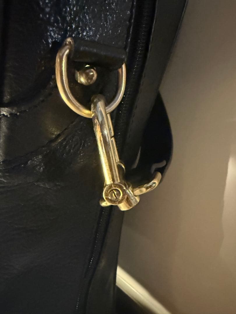 AIGNER アイグナー ガーメントバック