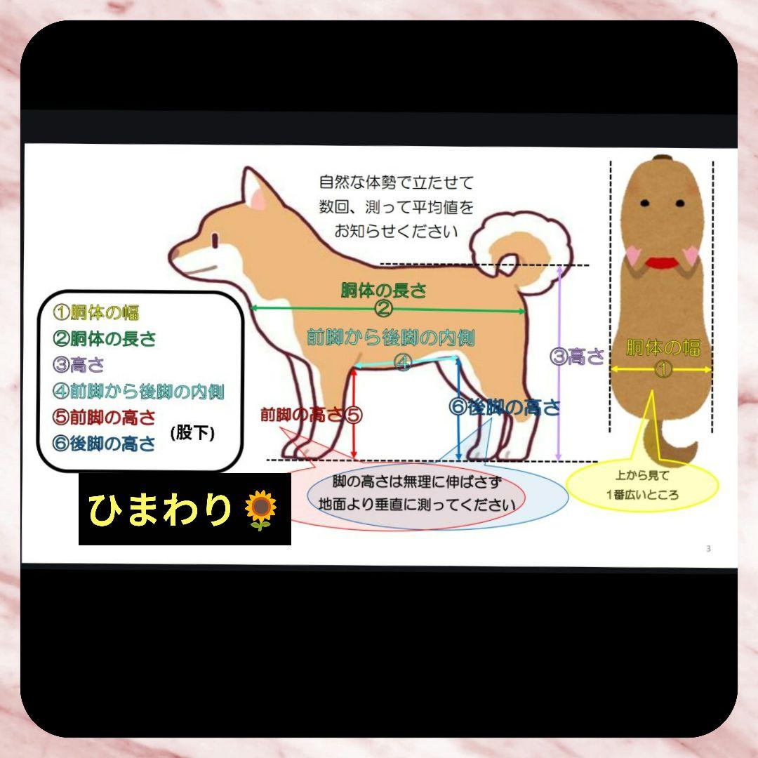 ワンちゃん4輪　リハビリ　食事補助　犬用車椅子　介護用　犬の歩行器