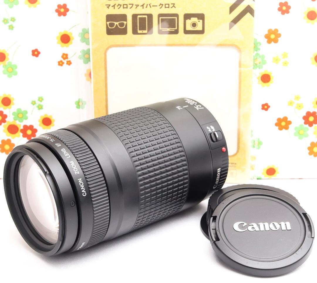 キャノン Canon 75-300mm☆超望遠レンズ☆フルサイズ機対応