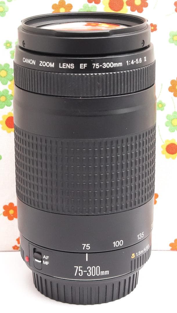 キャノン Canon 75-300mm☆超望遠レンズ☆フルサイズ機対応