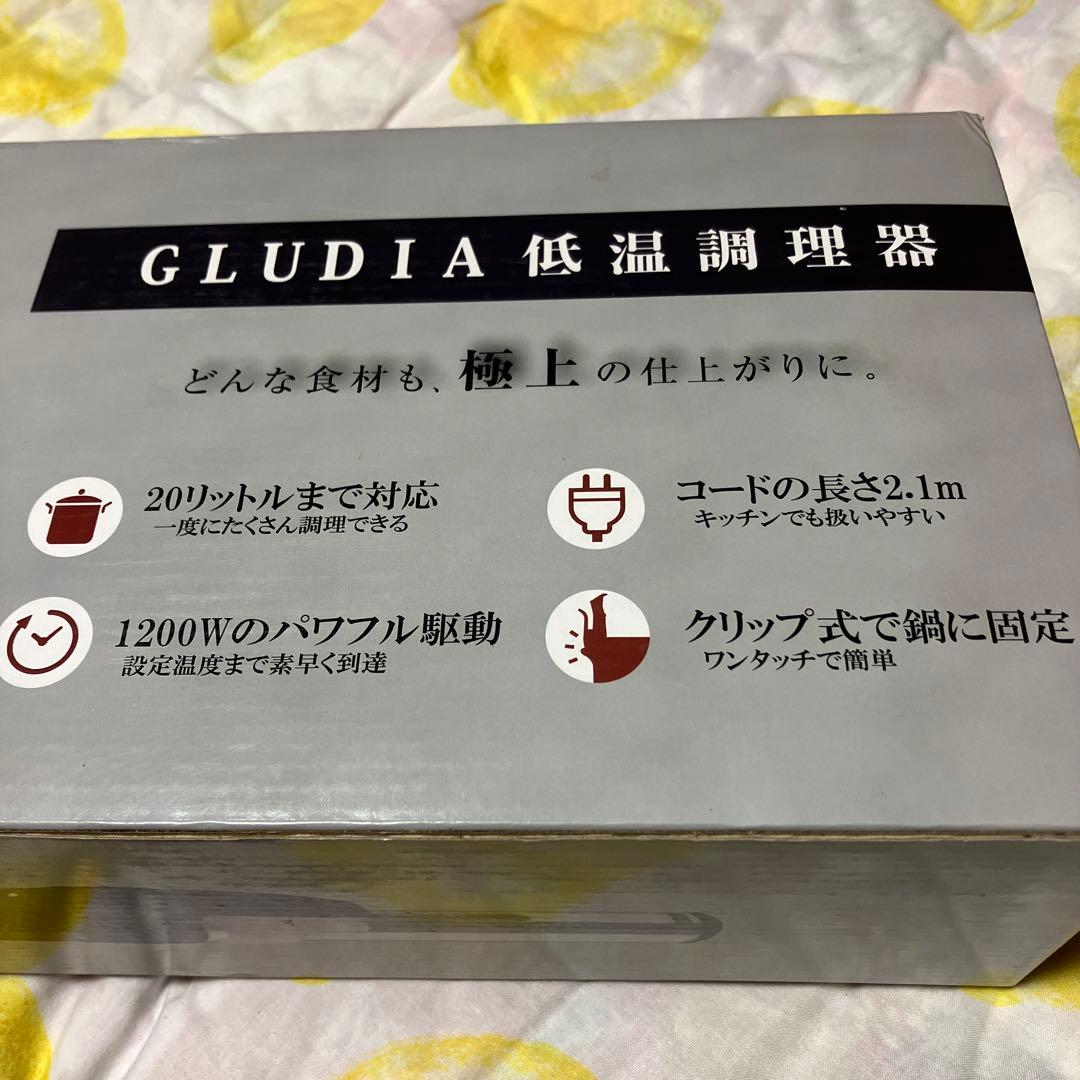 【新品未使用】GLUDIA　グルーディア GLU-INM01 低温調理器