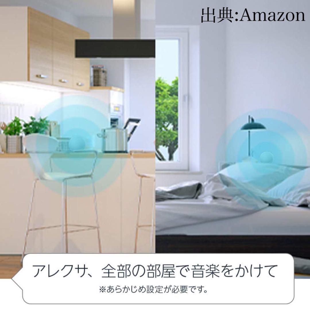 【即日発送/美品】 Amazon Echo 第4世代 グレーシャーホワイト