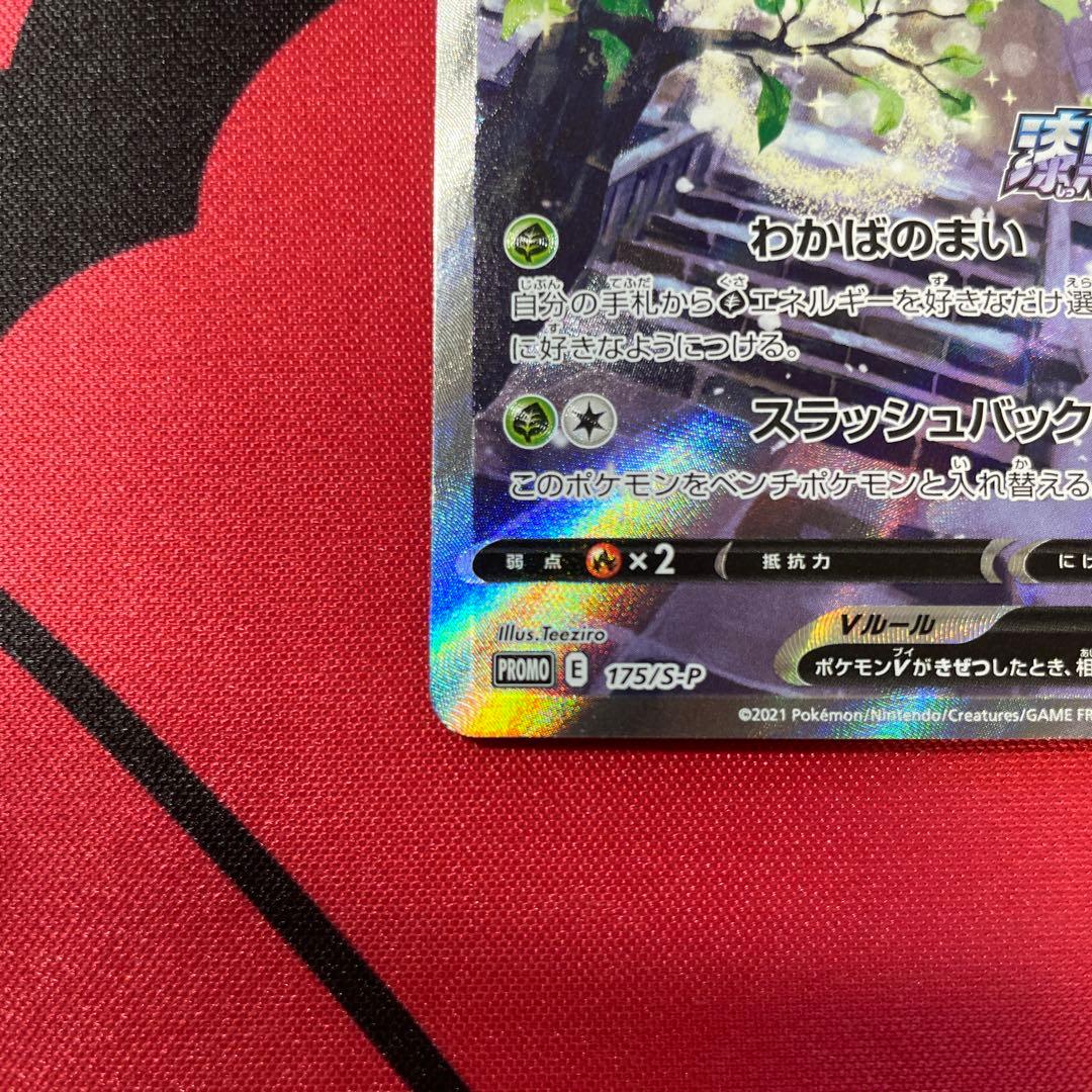 セレビィV プロモ　SA 175/S-P 漆黒のガイスト