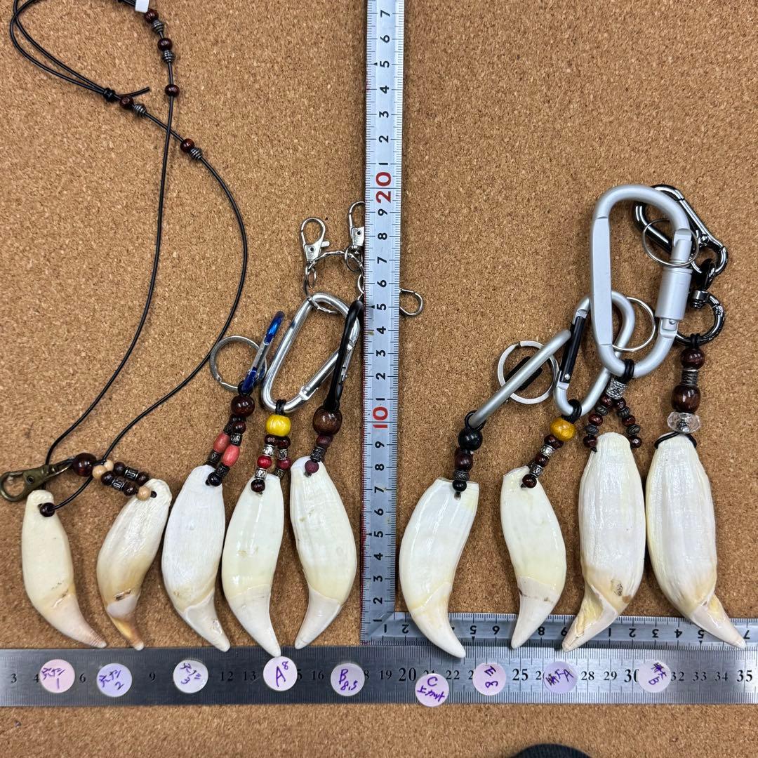 専用.確認ページ