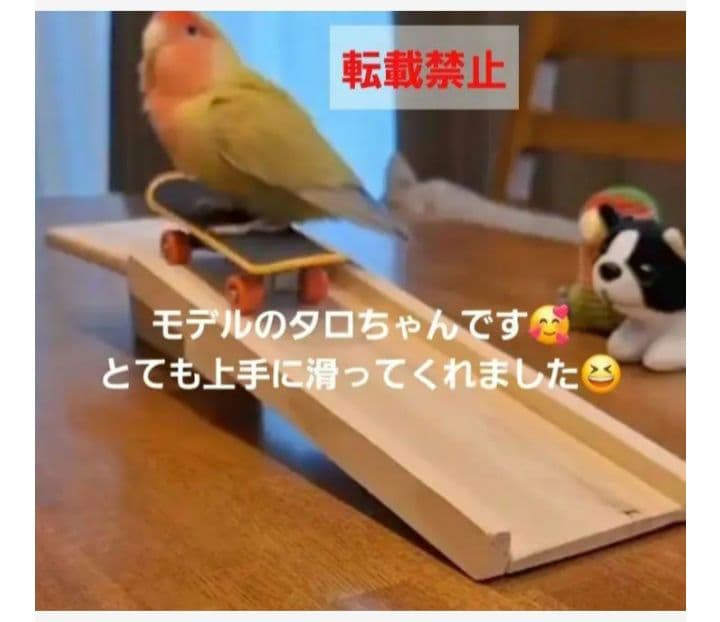 20⭐　滑り台大サイズ‼　 バードトイ　インコ　文鳥　スケボー