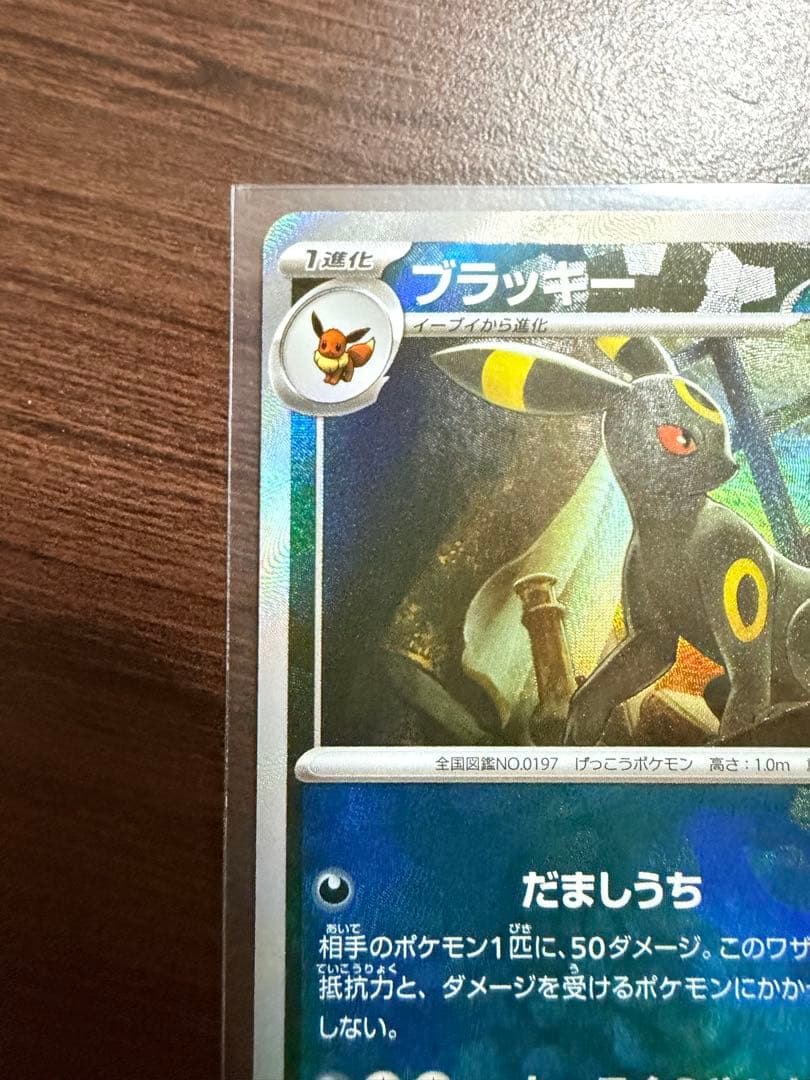 ブラッキー マスターボールミラー