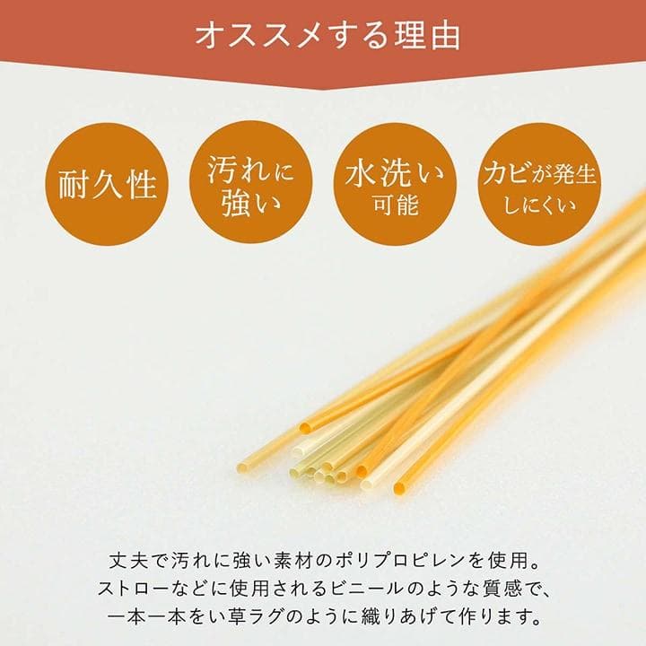 洗える ペット用カーペット ラグ 国産PP 江戸間10畳 畳 日和 グリーン