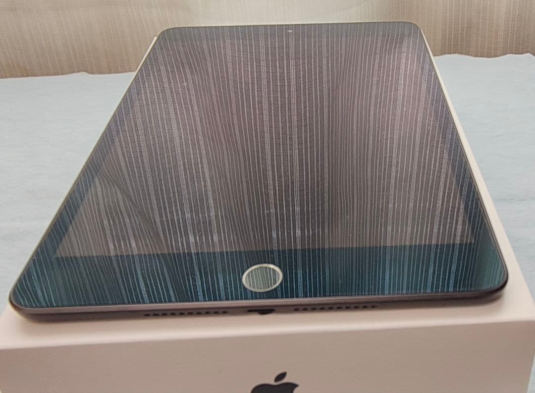 【美品】Apple iPad mini 第5世代 64GB A2133