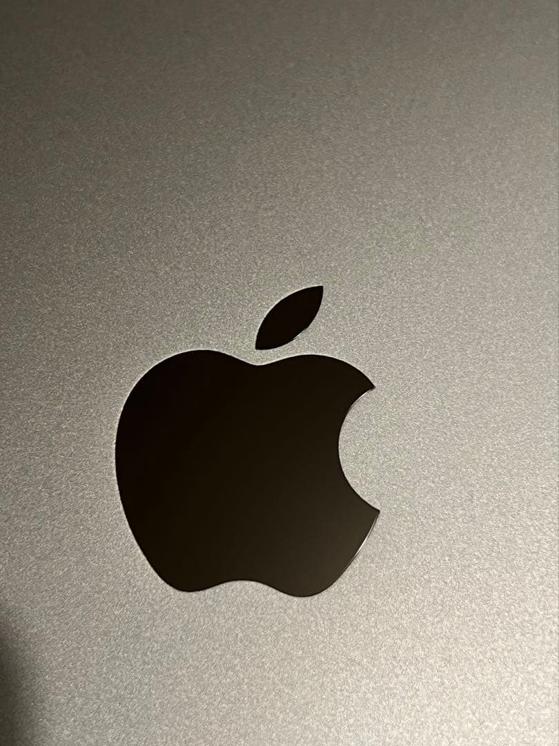 【匿名取引】iPad 第9世代 256GB 10.2インチ 中古品 本体のみ