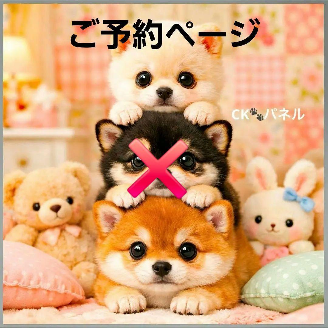 激レア柴犬、トイプー、ポメラニアン、パグ、ダックス、チワワパネル生地