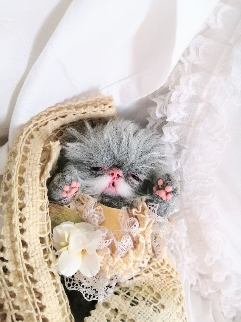 ちょがんちゃん❤️オーダー❤️生後15日♡子猫ちゃん♡アートドール♡ぬいぐるみ♡