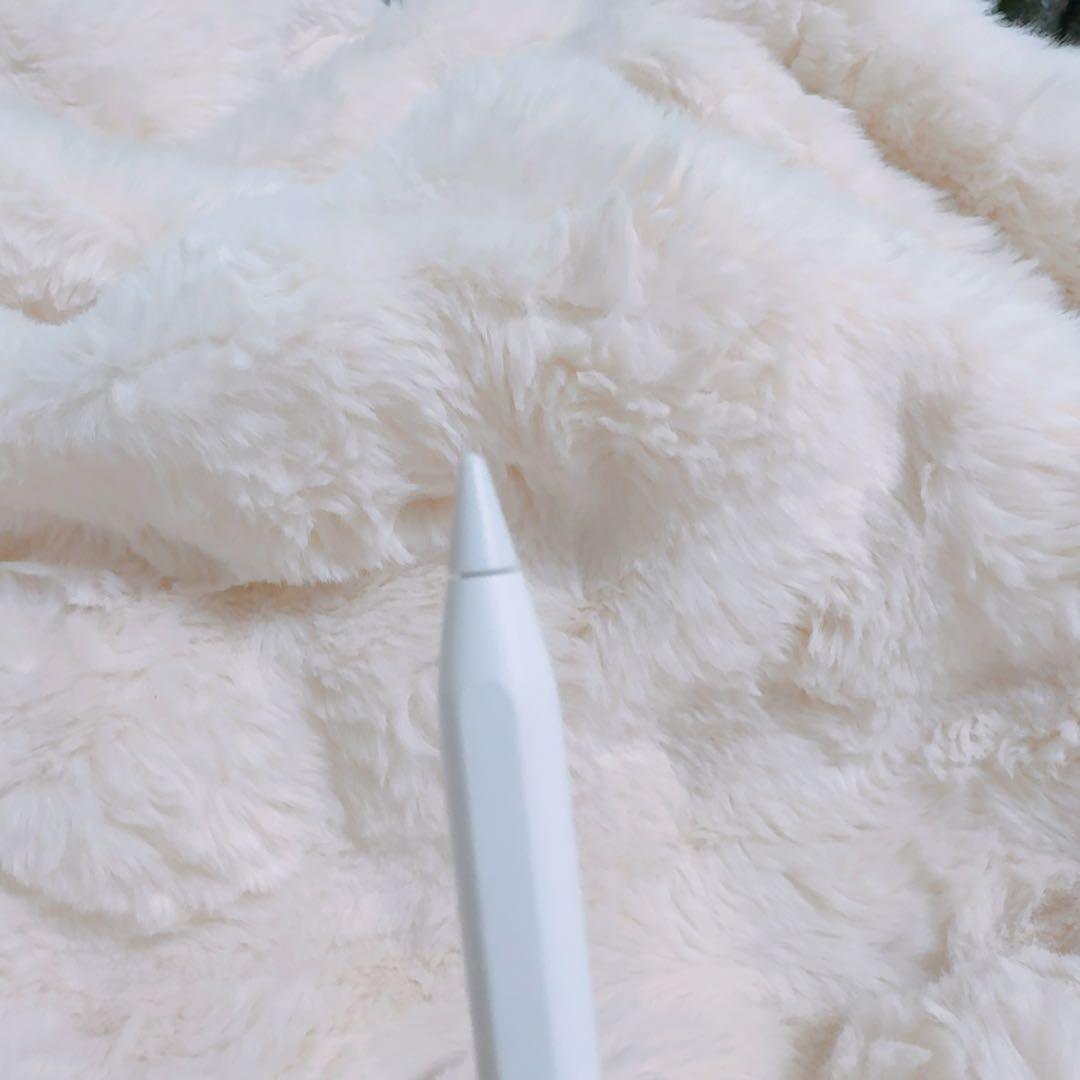 Apple Pencil USB-C 本体美品 箱には傷あり