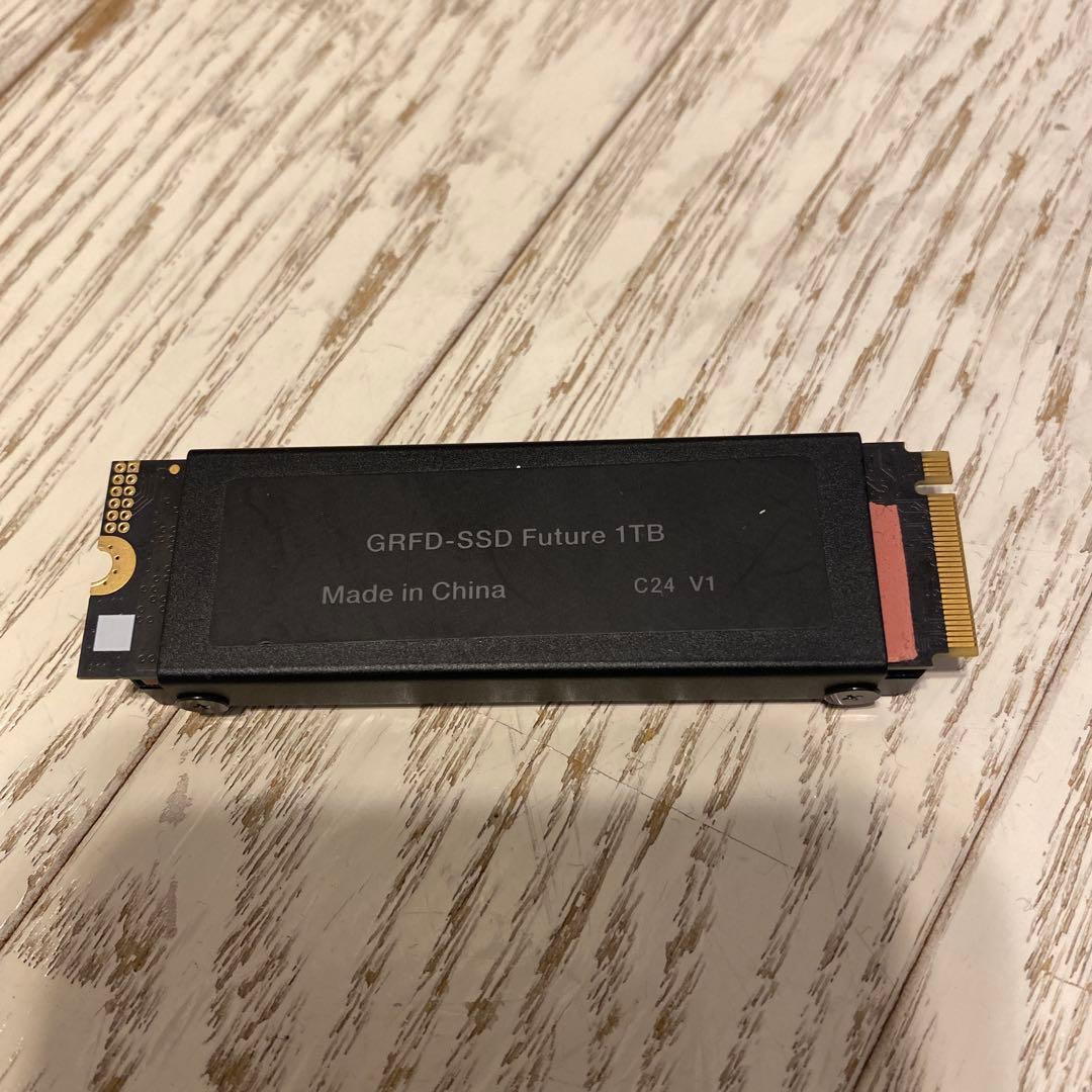 内蔵型SSD GRFD-SSD Future 1TB M.2 SSD