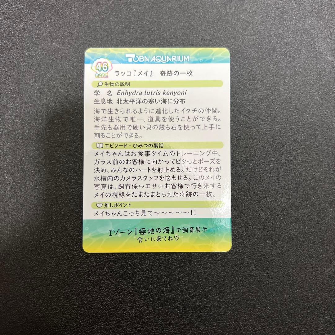 美品 鳥羽水族館コレクションカードvol.2 ラッコ メイ レア