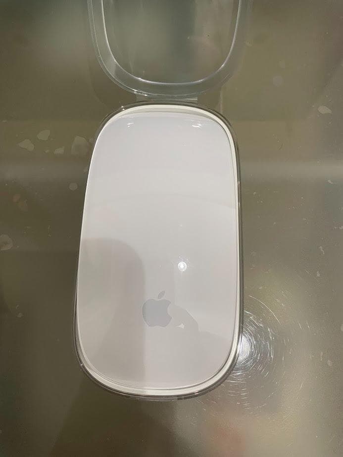 ほぼ未使用 電池式 Apple Magic Mouse 本体 マジックマウス