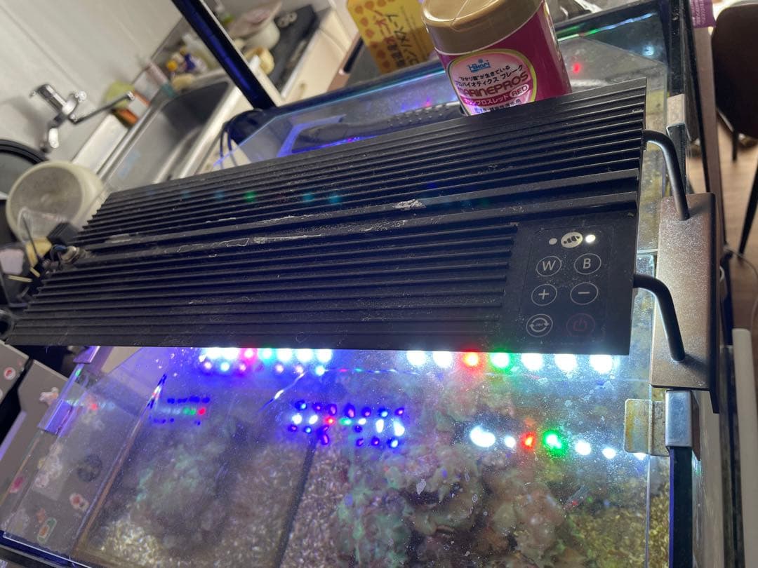 海水水槽フルセット(生体・珊瑚・ブロック込み)