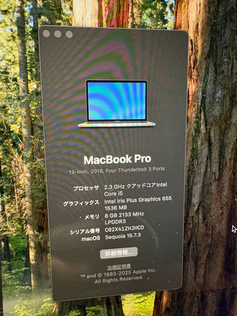 MacBook Pro 2018 13インチ 本体 おまけ付き