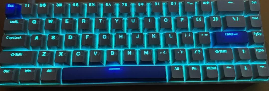 【美品】DrunkDeer G65 磁気式 US配列 ゲーミング RT対応