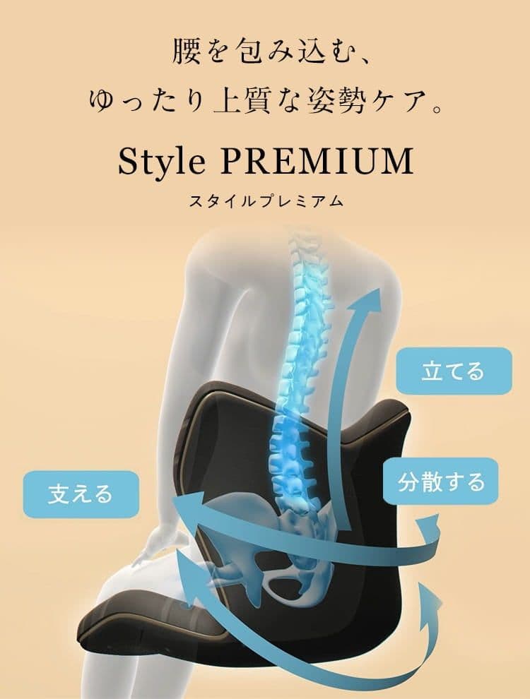 StyIe PREMIUM/スタイルプレミアム/ブラウン/骨盤矯正