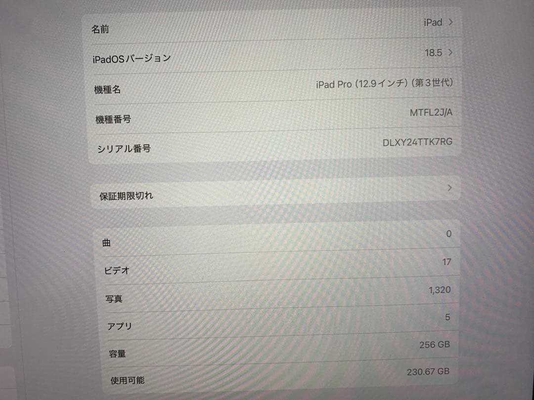 iPad Pro 12.9（第3世代）　256GBモデル　ペン・Folioセット