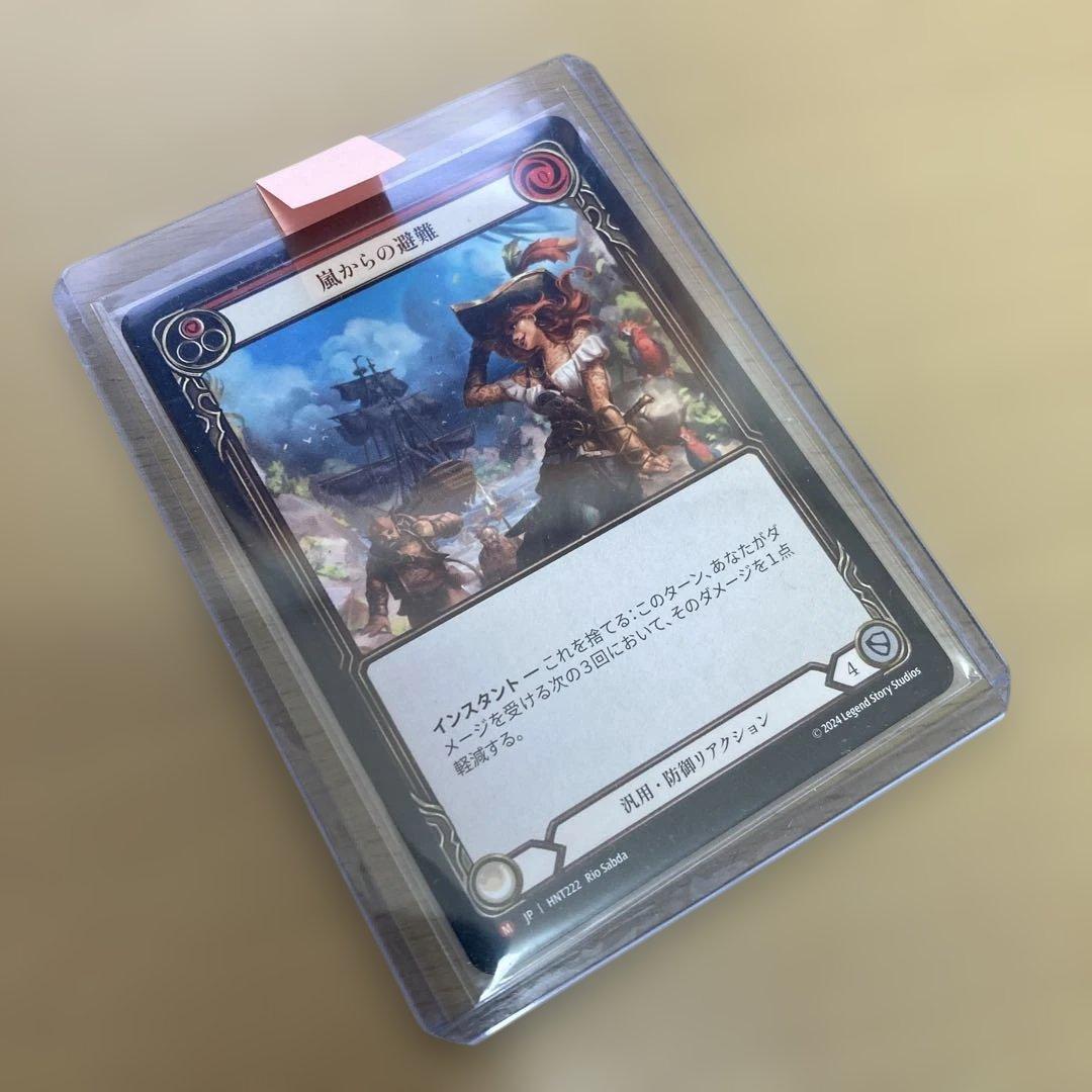 flesh and blood 嵐からの避難　日本語　HNT