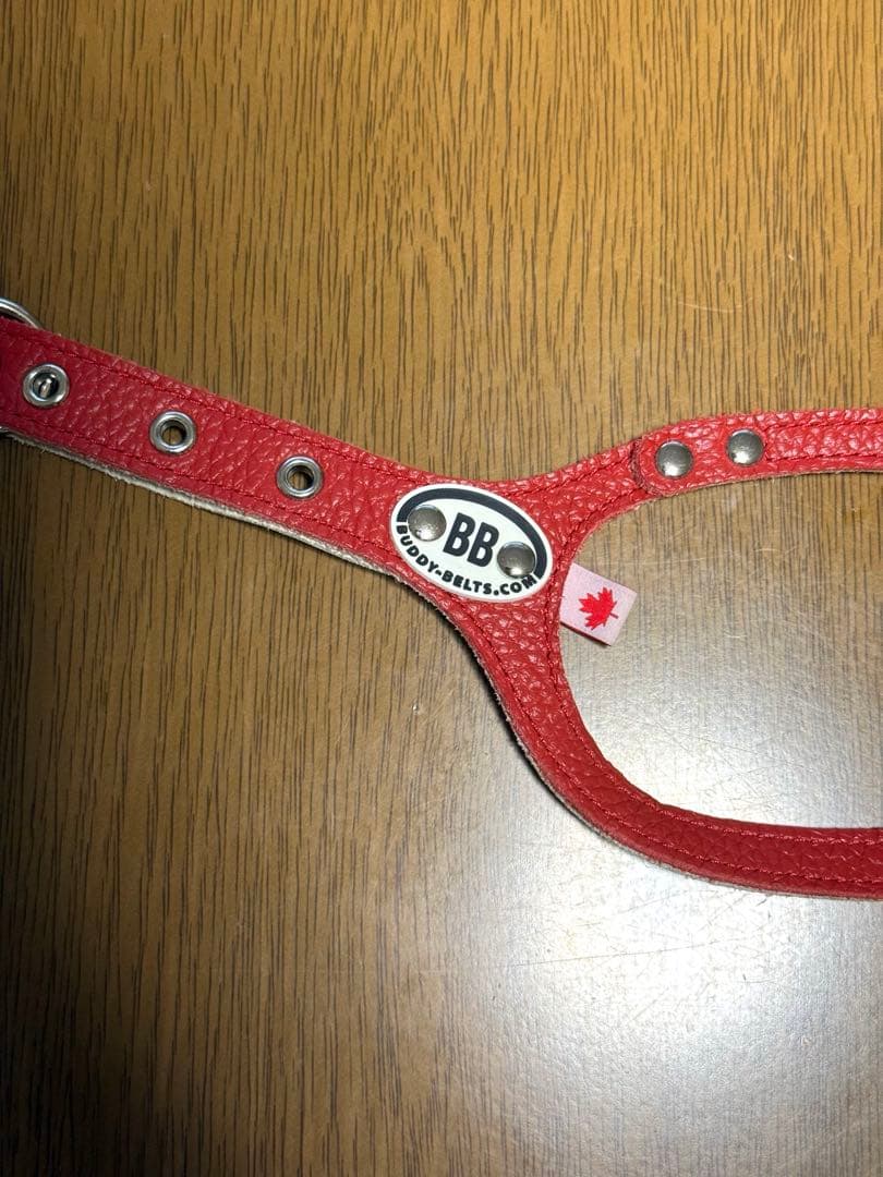 ハーネス バディーベルト 4.5号