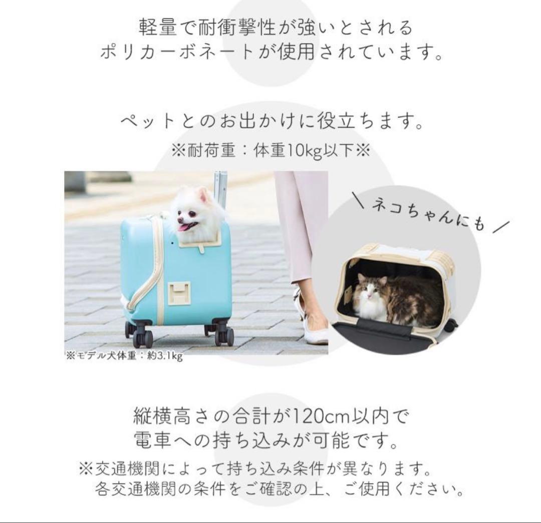 GEX　OSOTO　コロフィー　M　アクア　10kg以下　犬用