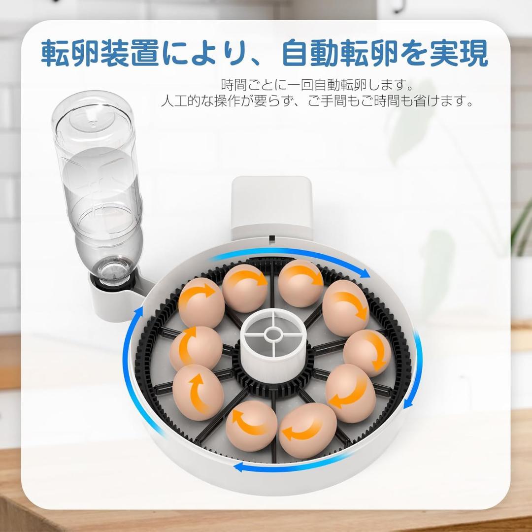 自動孵卵器 10個入卵 インキュベーター 鳥類専用孵卵器 自動転卵 自動給水