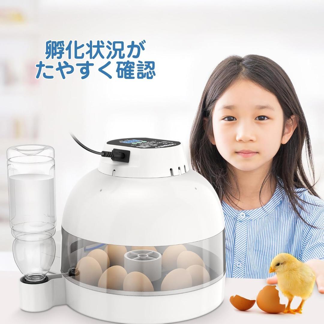自動孵卵器 10個入卵 インキュベーター 鳥類専用孵卵器 自動転卵 自動給水