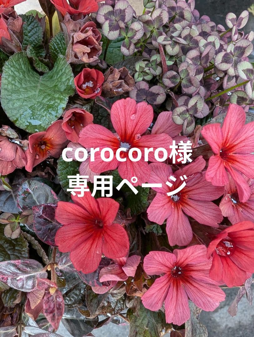 ラボット服　LOVOT ハンドメイド　corocoroページ