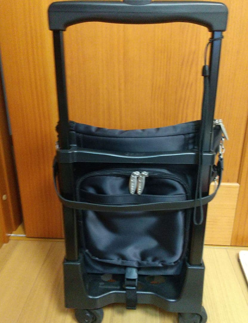 スワニー　キャリーバッグ