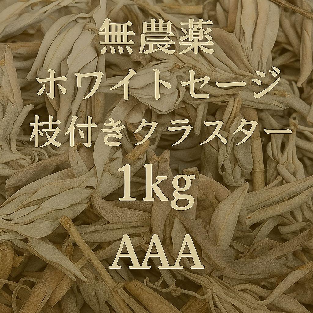 激安価格☆無農薬ホワイトセージ枝付きクラスター1kgお香浄化　業務用価額