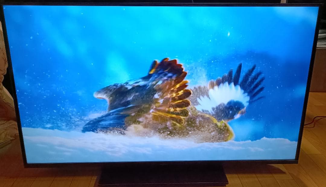 美品 23年製 50V型 Panasonic VIERA TH-50MX900