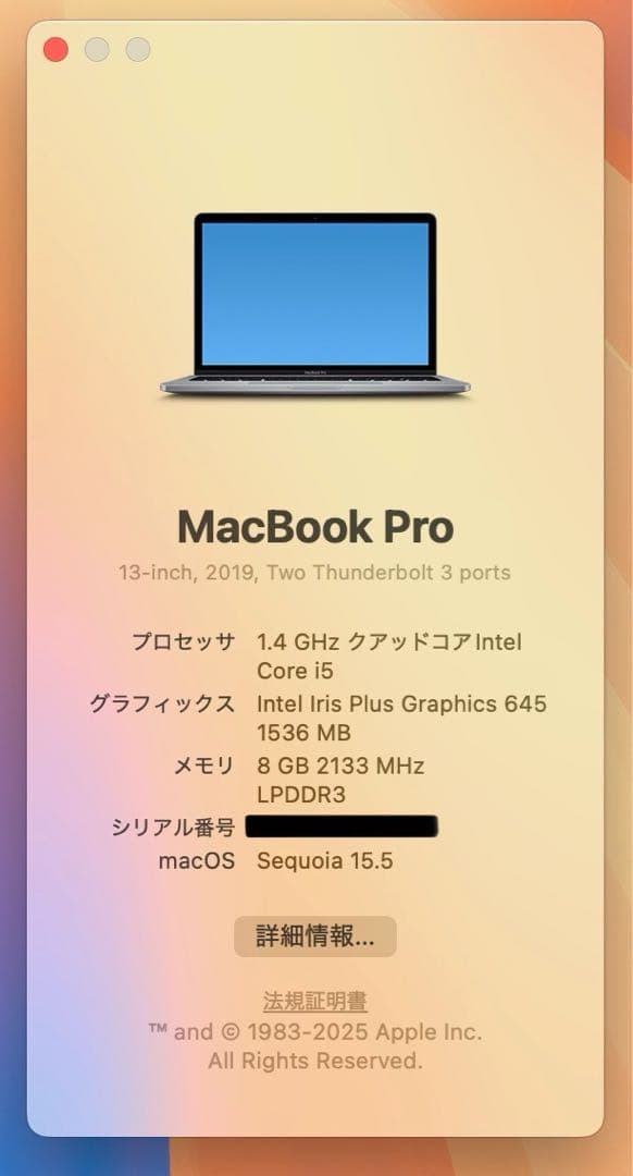 【即日発送】Macbook PRO 2019 スペースグレー バッテリー良好