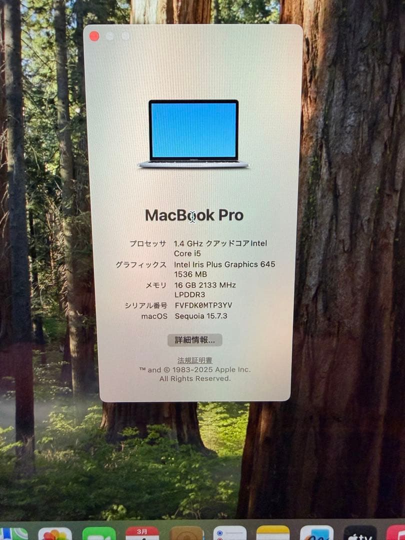 箱ありおまけ付き美品MacBook Pro 2020 13インチ スペースグレー