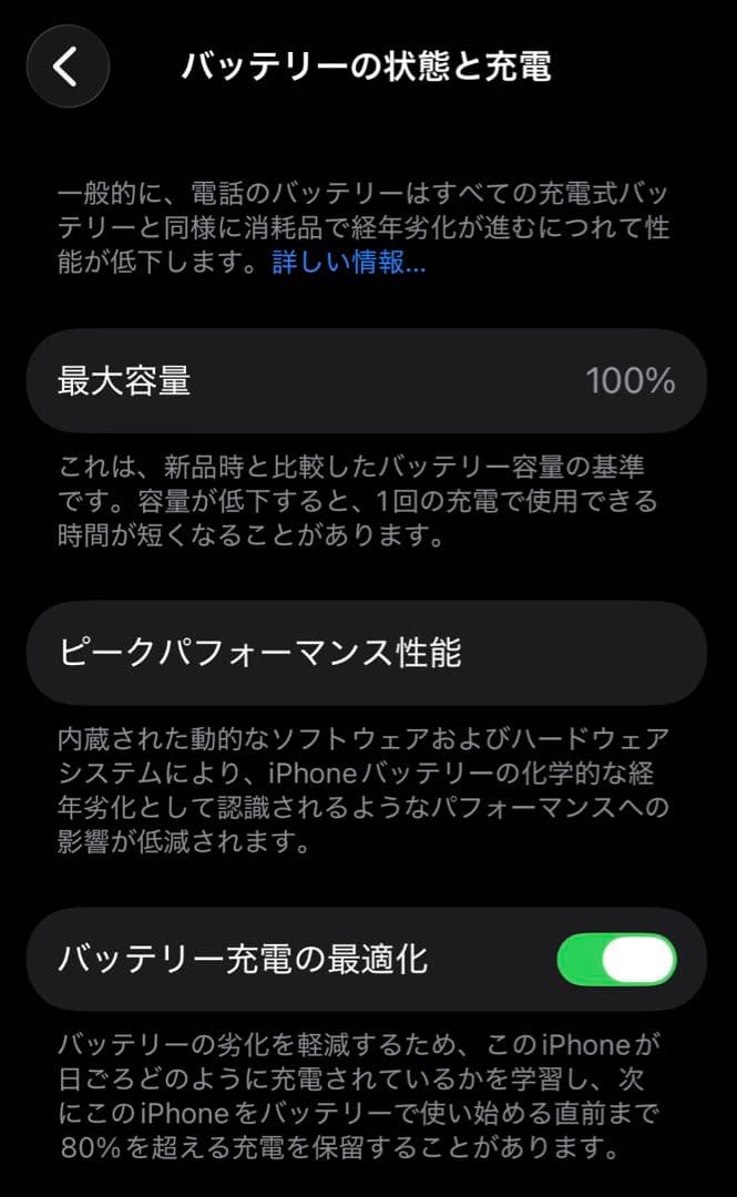美品おまけ付！iPhone 13 Pro 256GB 純正バッテリー交換済！
