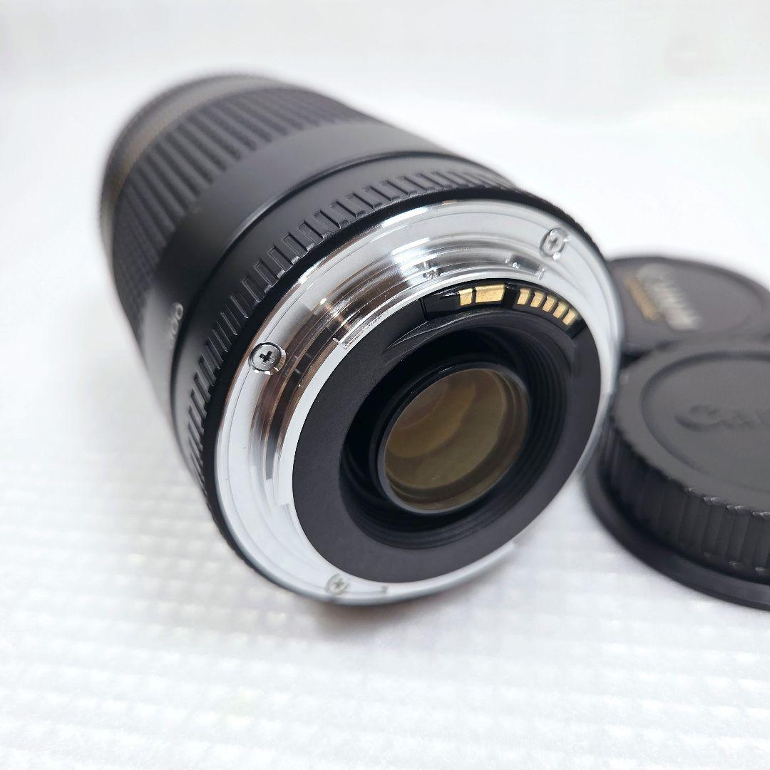 Canon EF 75-300mm F4-5.6 II USM 望遠ズームレンズ