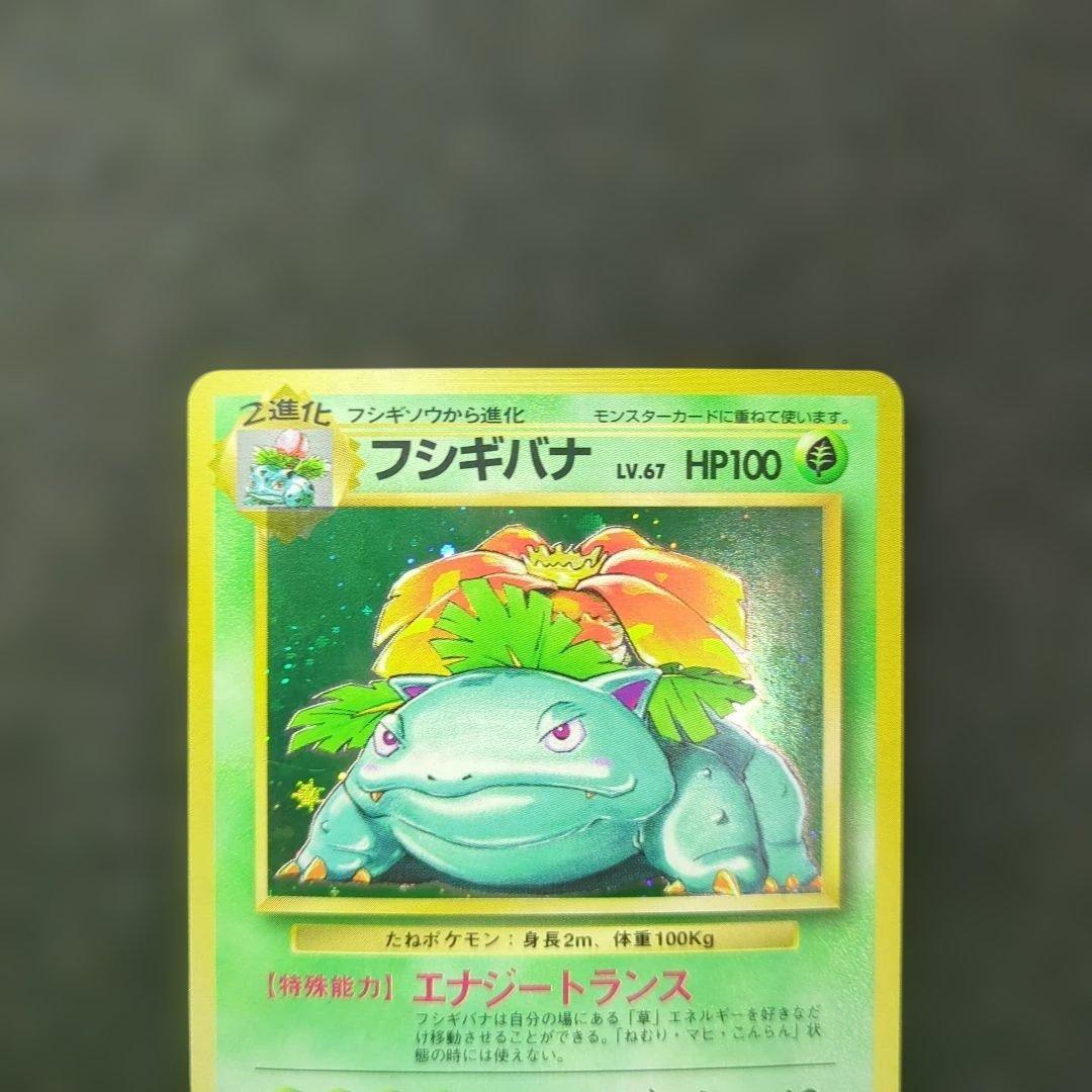 美品✨フシギバナ 旧裏 十字ホロ