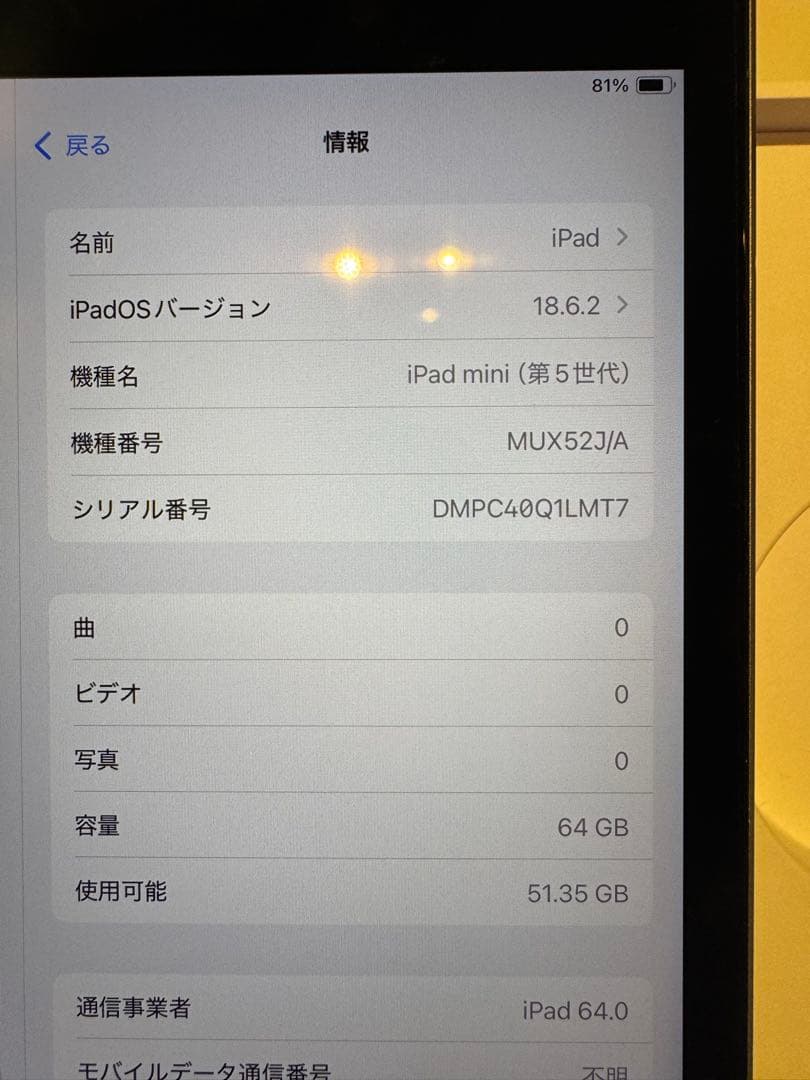 iPad mini (第5世代) 64GB Wifi + Cellular