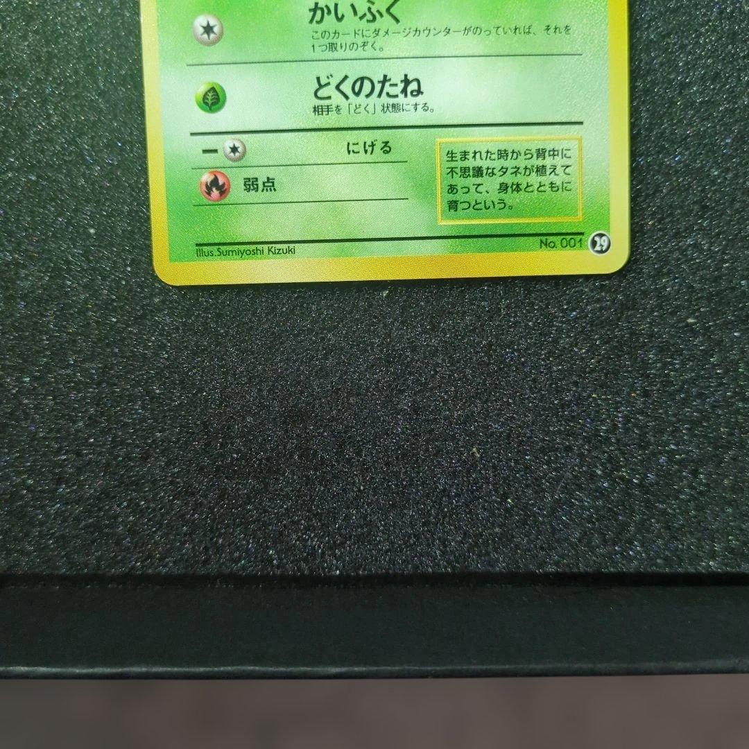 極美品✨【旧裏】フシギダネ イントロパック