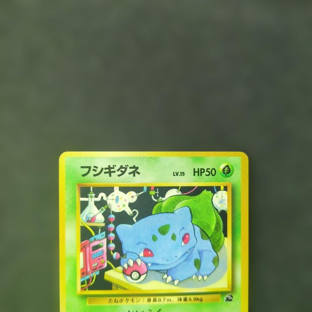 極美品✨【旧裏】フシギダネ イントロパック