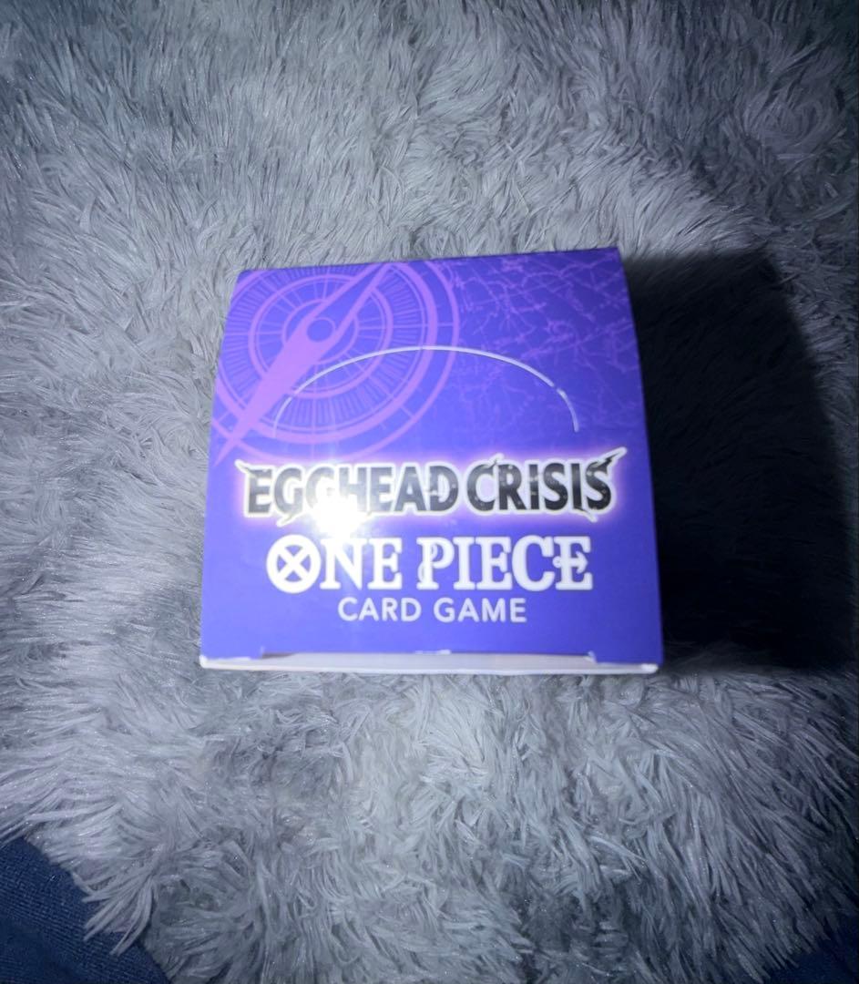 【みどり様限定】EGGHEAD CRISIS ONE PIECE