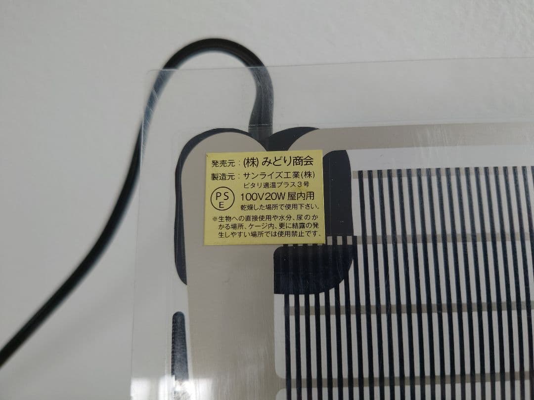 観葉植物初心者応援セット