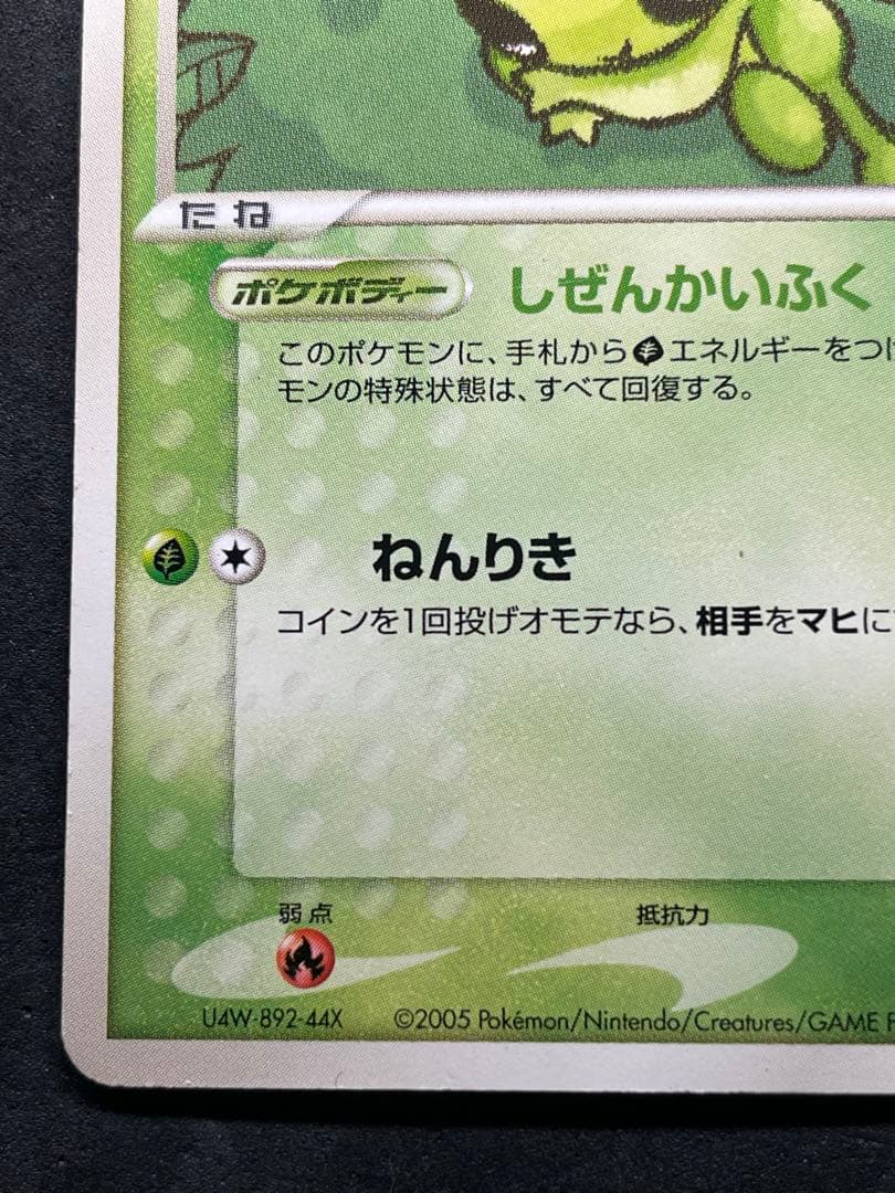 ポケパークのセレビィ 001/009 プレミアムファイル フォレスト