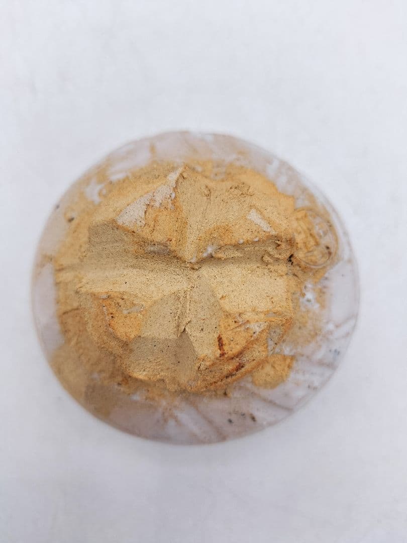 d005【新品・未使用】ぐい呑 萩焼 5客入 渋谷泥詩 木箱 茶道具