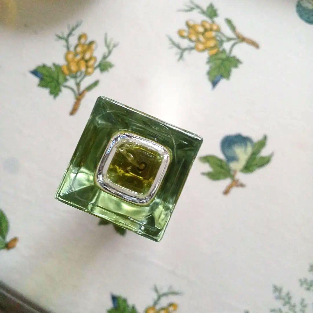 廃盤希少GUCCI ENVYグッチ エンヴィ香水100ml 正規品 フランス購入