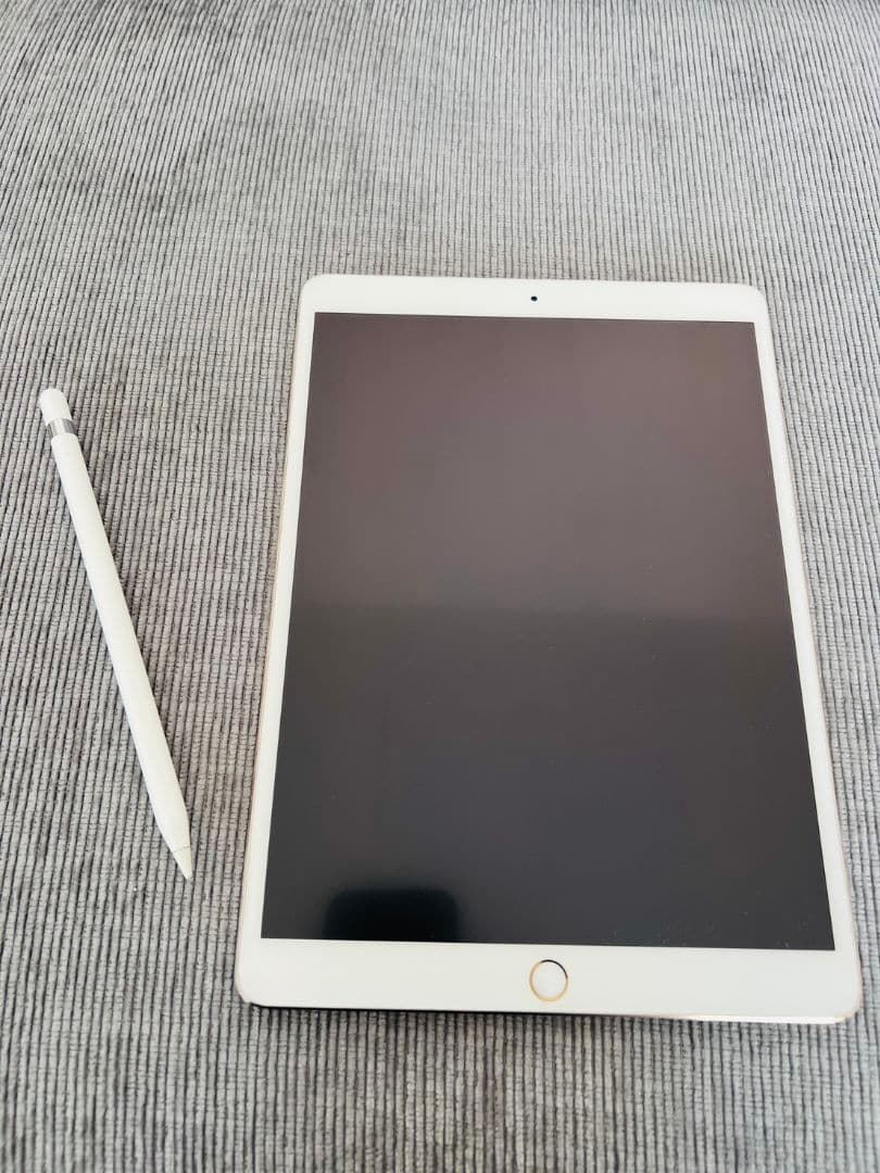 iPad Pro 10.5inch256GBWi-Fi➕Apple pencil