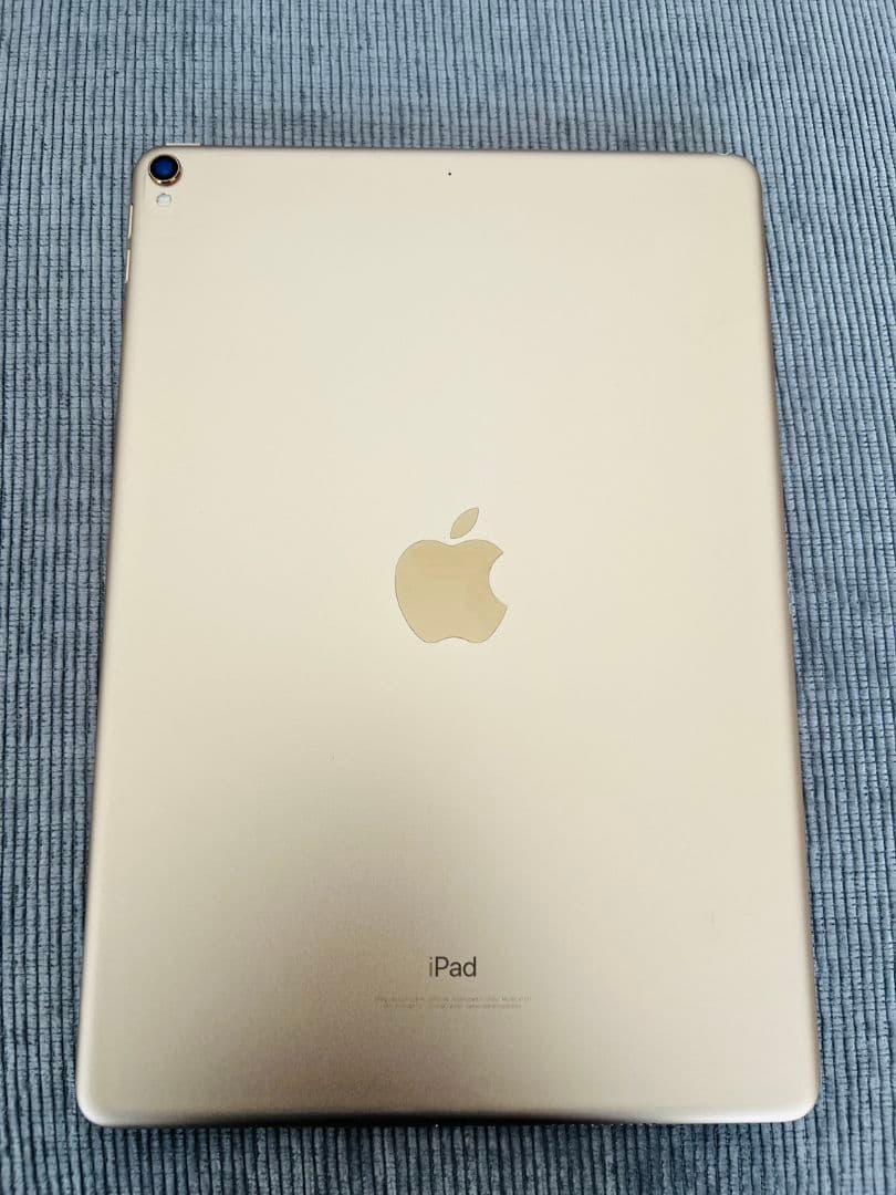 iPad Pro 10.5inch256GBWi-Fi➕Apple pencil