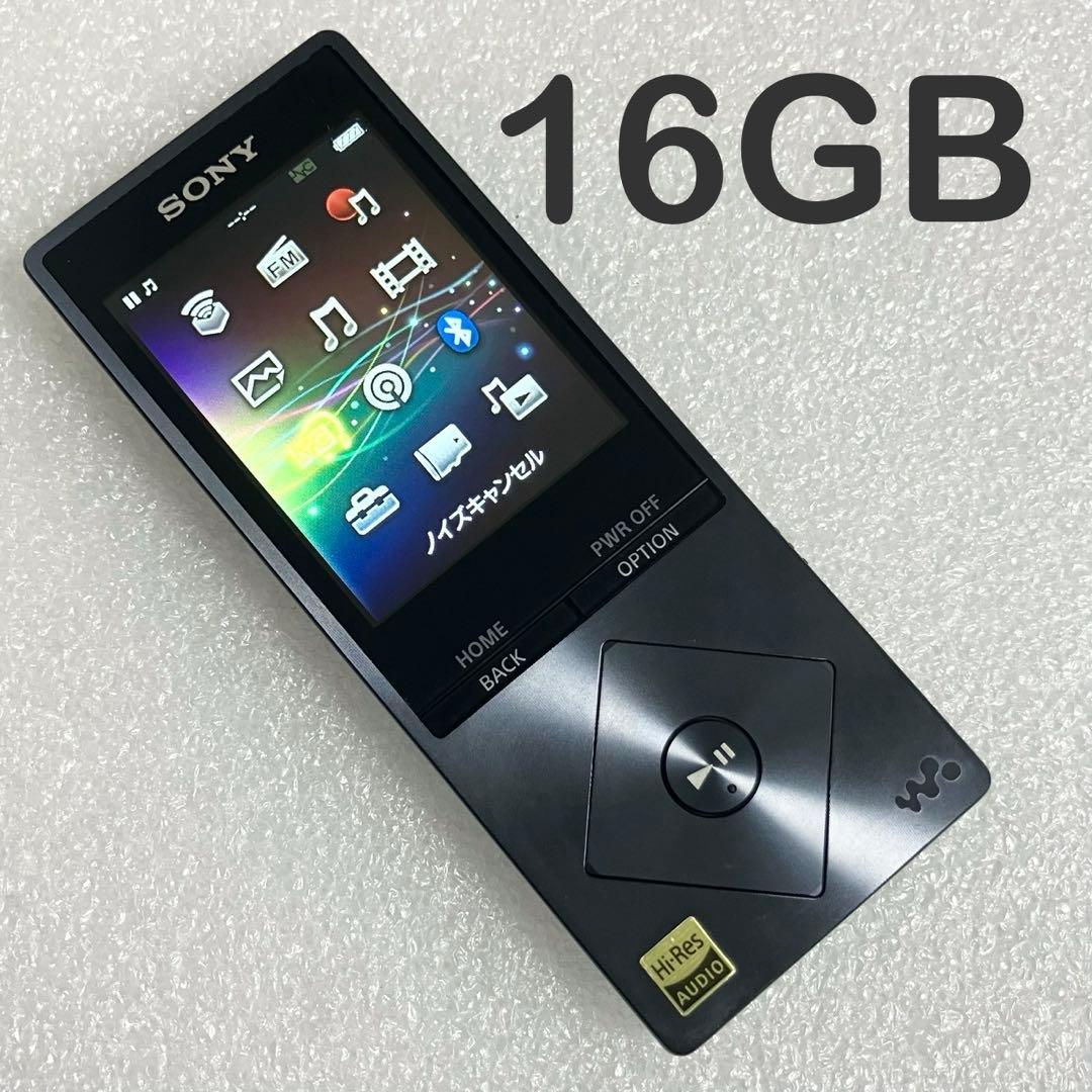 【ディスプレイ良好】　ソニー　ウォークマン　NW-A25 16GB チャコールB
